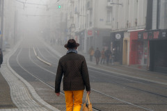 LE SOLEIL A RENDEZ-VOUS AVEC LA BRUME