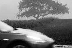 PADELEZH HA DIBADELEZH