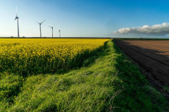 POENT TEC'HOUT AR C'HOUMOUL