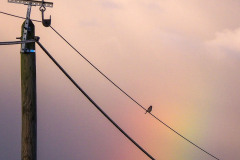 LABOUS AR GANEVEDENN