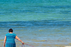 AR C'HI HAG AR C'HAMELEON