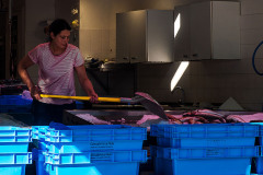 PAS LA PEINE D'EMBALLER