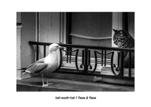 A4-38 — TAL-OUZH-TAL