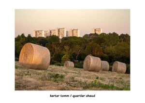 A4-42 — KARTER TOMM