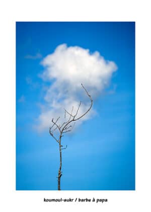 A4-21 — KOUMOUL-SUKR