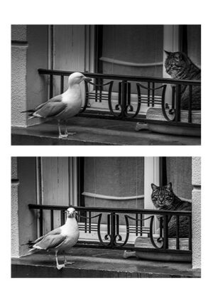 3040-16 — GOEL HA KAZH