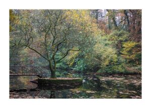 3040-41 — SIDDHARTHA