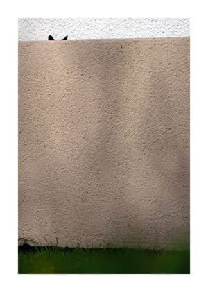 3040-04 — AR SPIER AMPARFAL