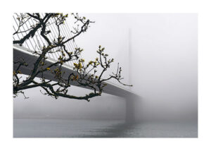 3040-34 — DAVIT NEBLEC'H