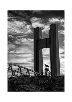 3040-15 — GO GOELAN