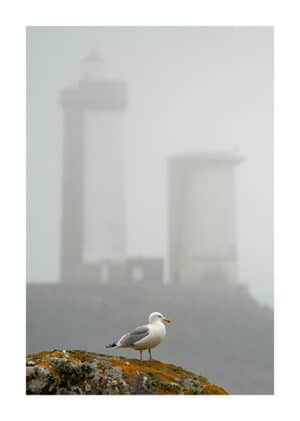 3040-17 — GOELAN AR MINOU